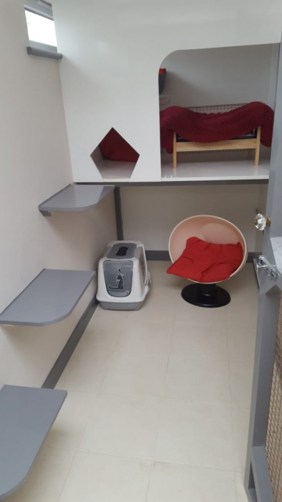 Cattery Chaiquinta Pet Hotel and Grooming Salon
