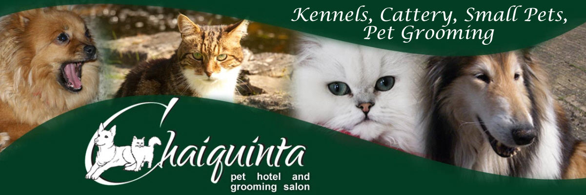 Boarding pets on sale