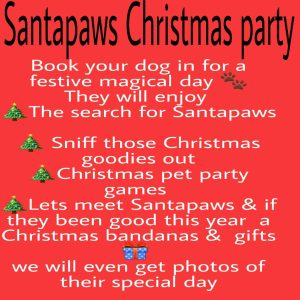 Santapaws Christmas Party